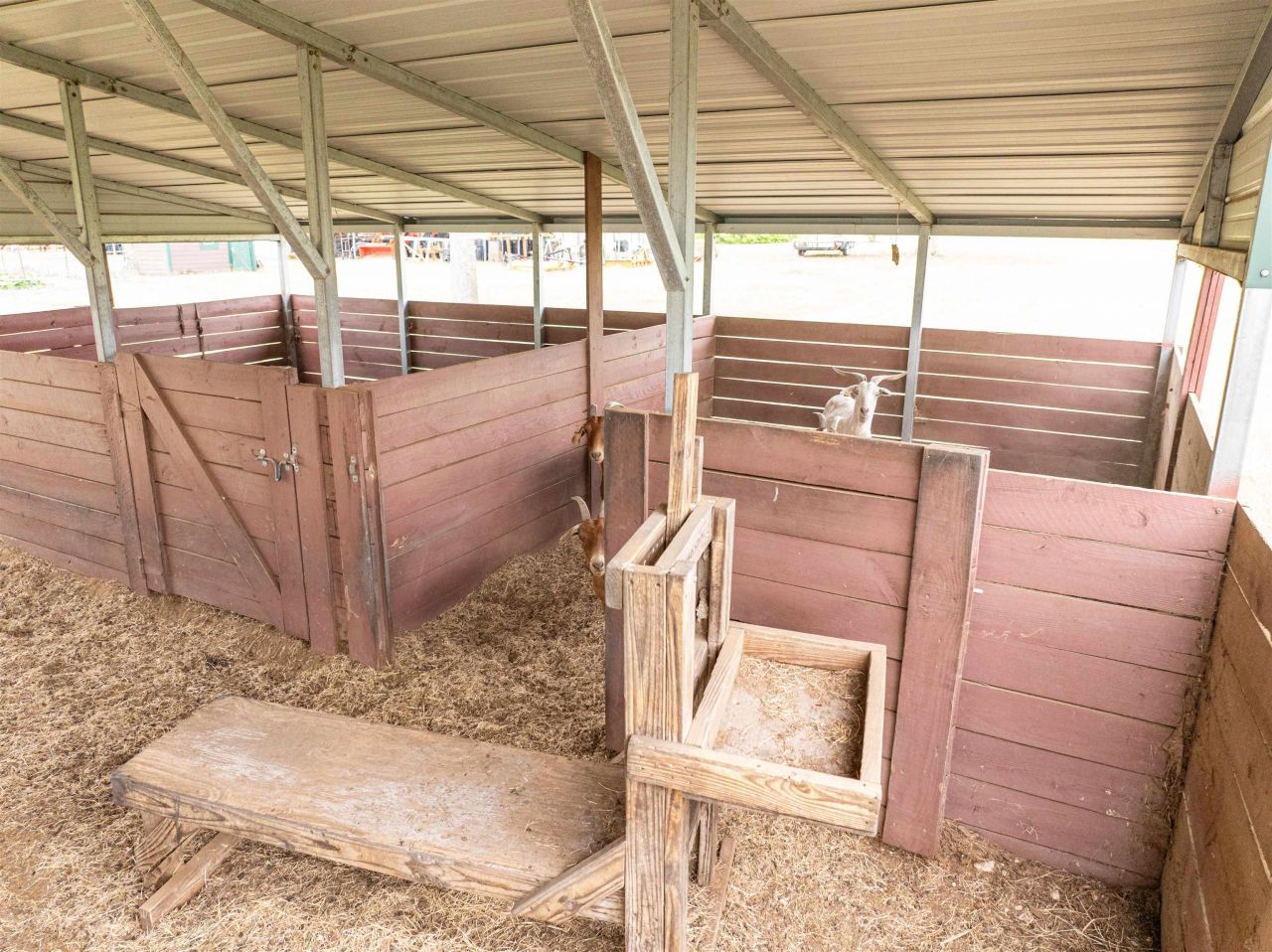 6676 SE Cr 255 , Lee, FL 32059 Photo