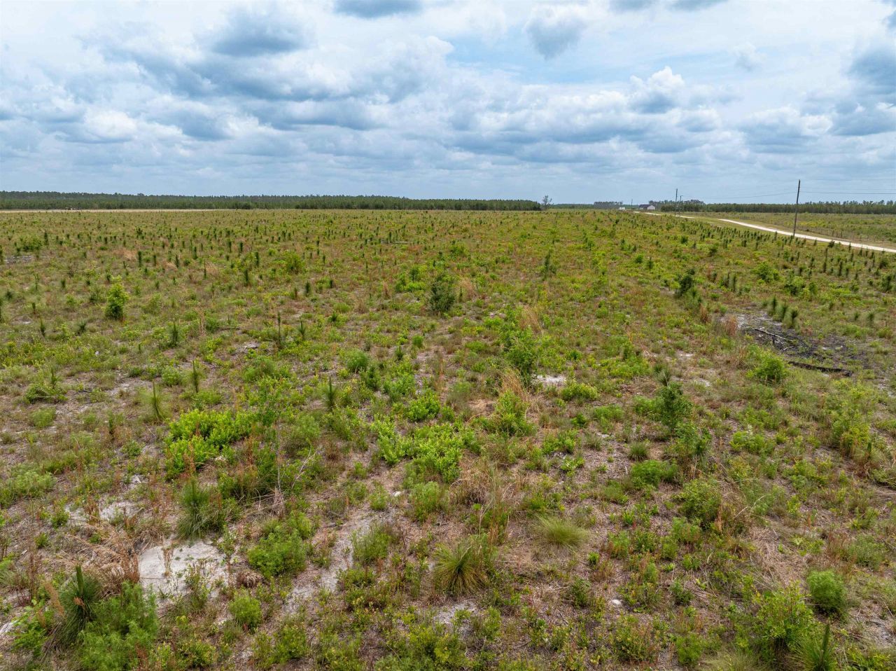 6676 SE Cr 255, Lee, FL 32059 Photo