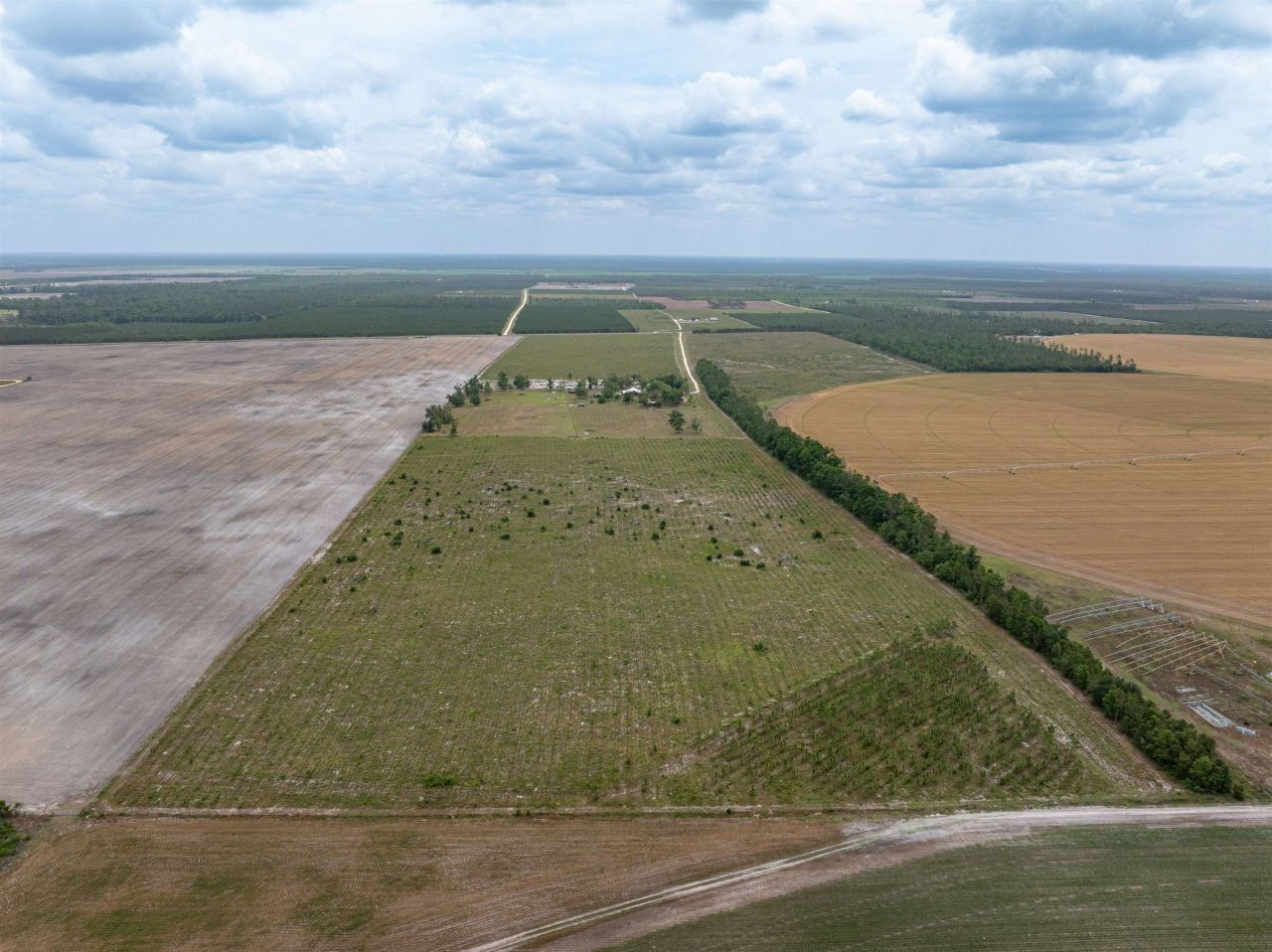 6676 SE Cr 255, Lee, FL 32059 Photo