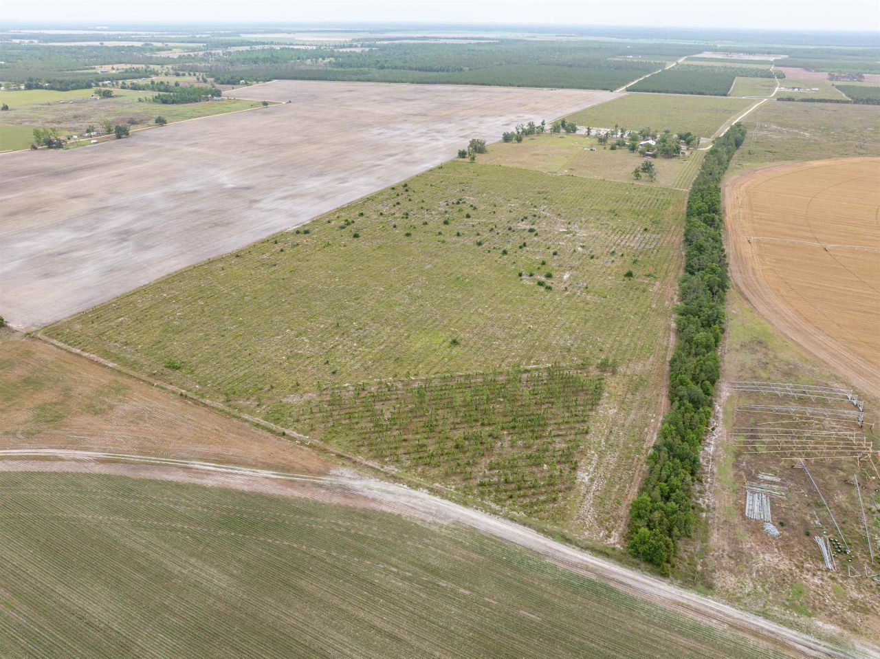 6676 SE Cr 255, Lee, FL 32059 Photo