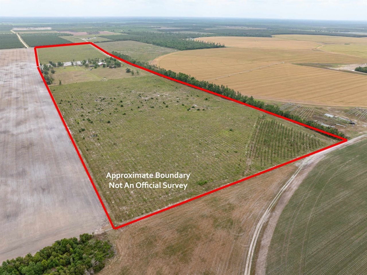 6676 SE Cr 255 , Lee, FL 32059 Photo