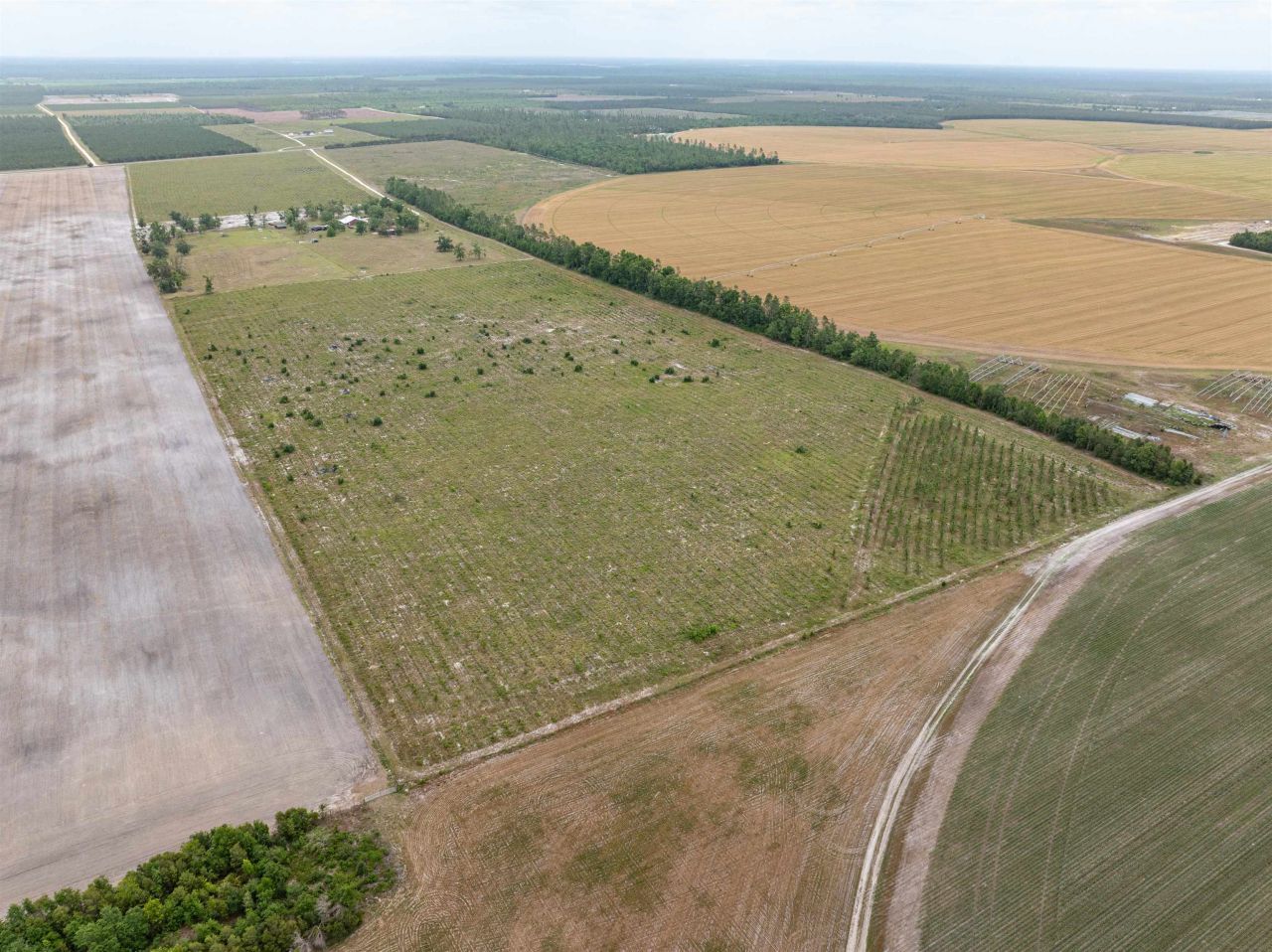 6676 SE Cr 255, Lee, FL 32059 Photo