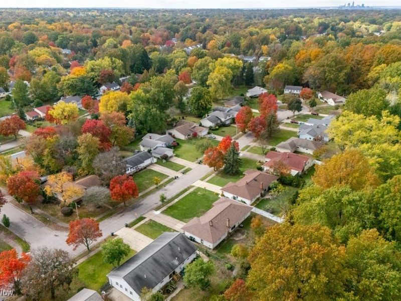 4859 Delevan Drive, Lyndhurst, OH 44124 Photo 20