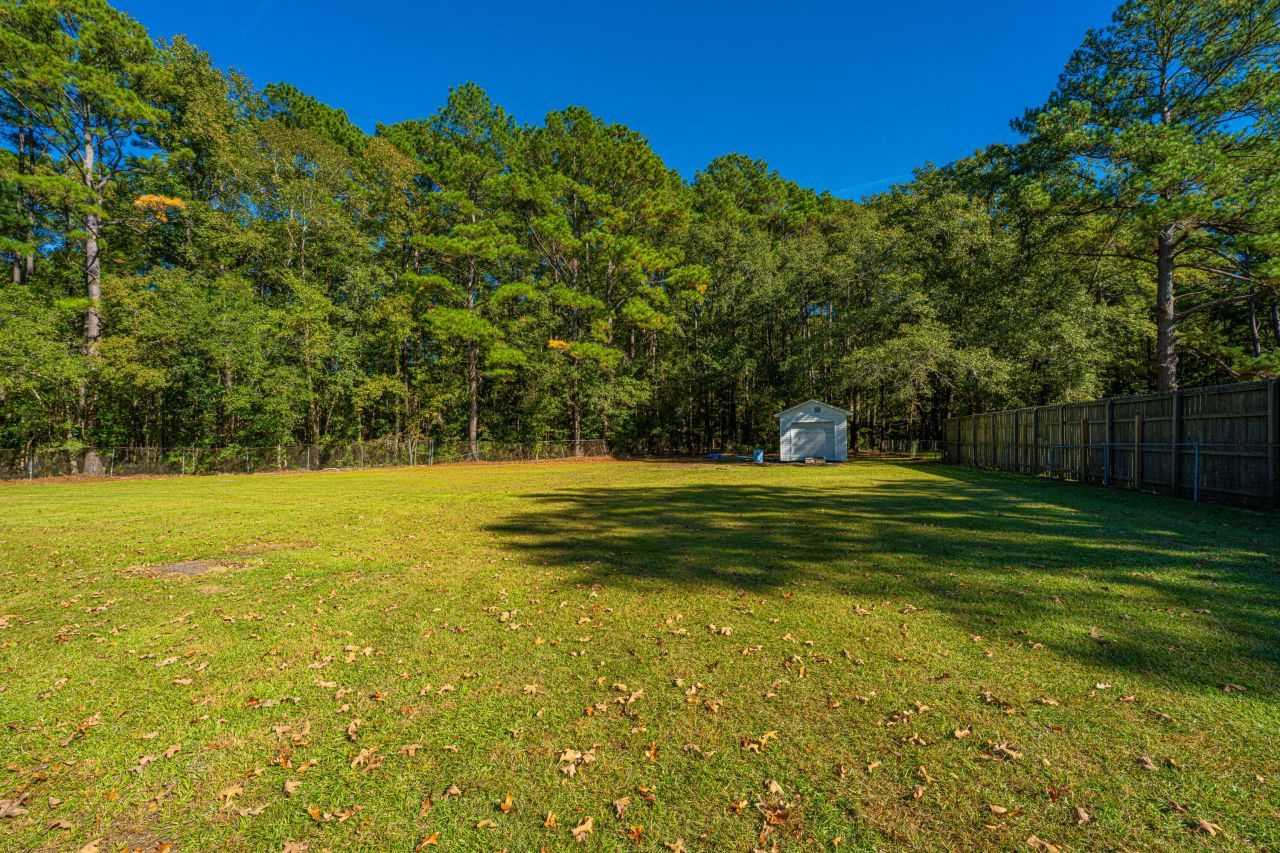 142 Mano Street Photo 36