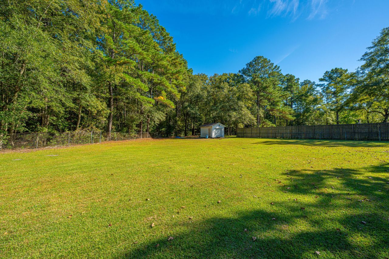 142 Mano Street Photo 41