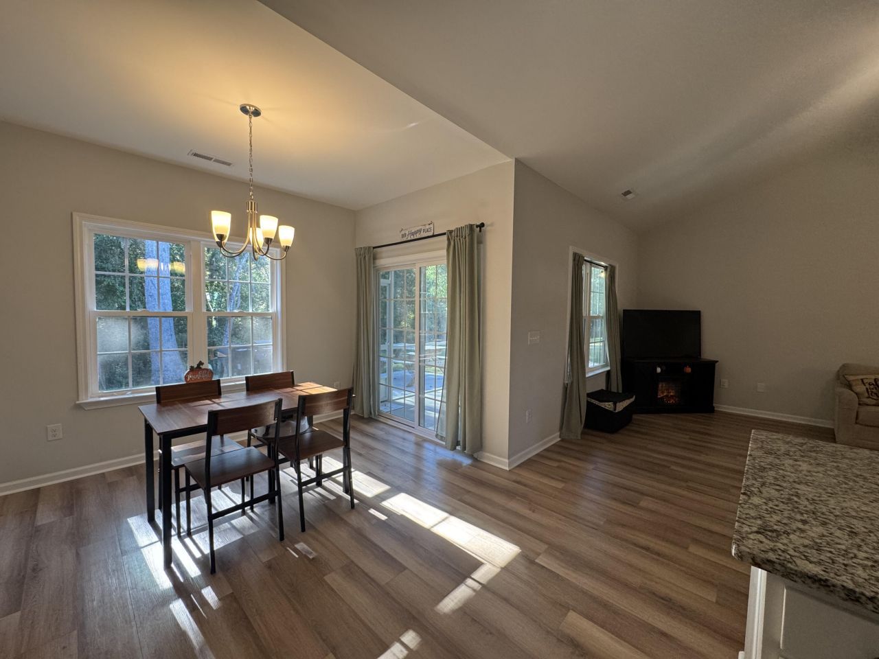 163 Six Mile Creek Dr. Photo 13