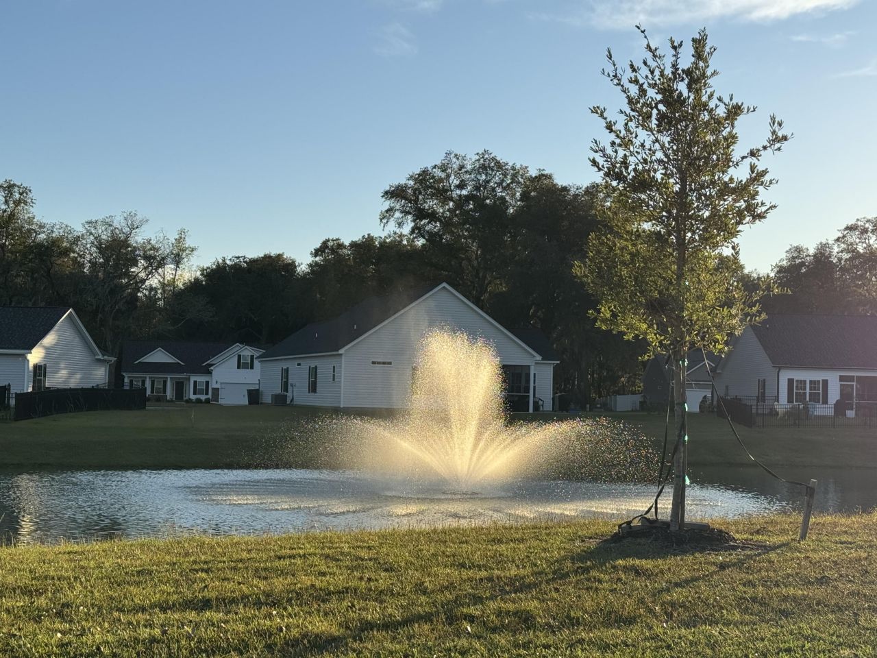 163 Six Mile Creek Dr. Photo 27