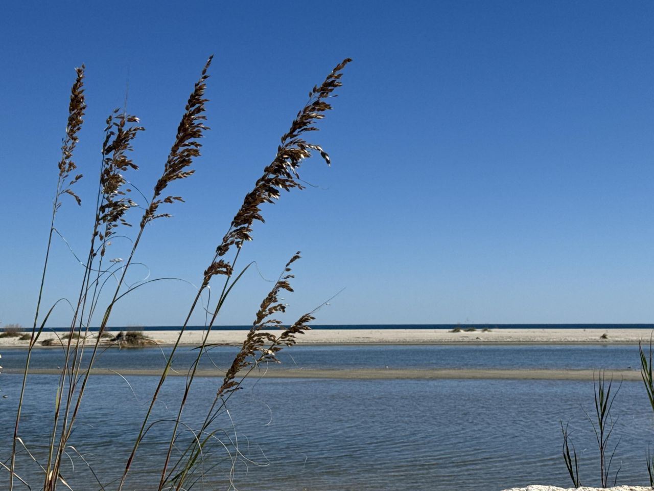 163 Six Mile Creek Dr. Photo 37