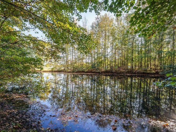 212 Park Rd, Rickman, TN 38580