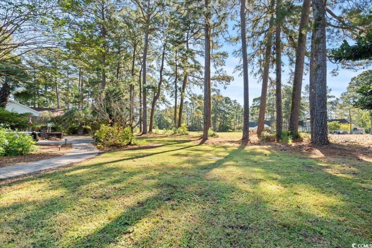 117 John Waites Ct. Photo 39