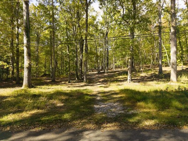 484 Apollo Dr, Spring City, TN 37381