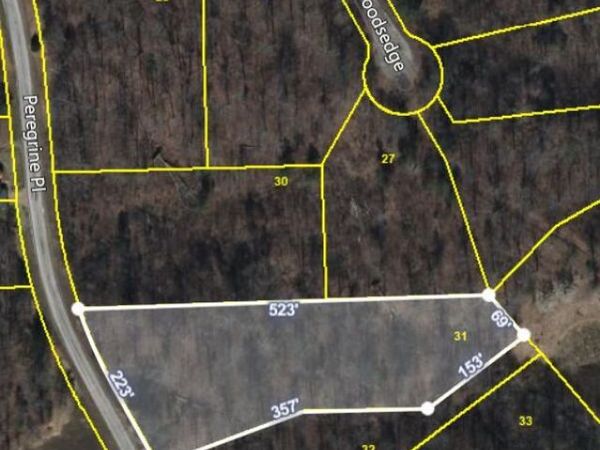 Lot 31 Peregrine Place, Cedar Grove, TN 38321