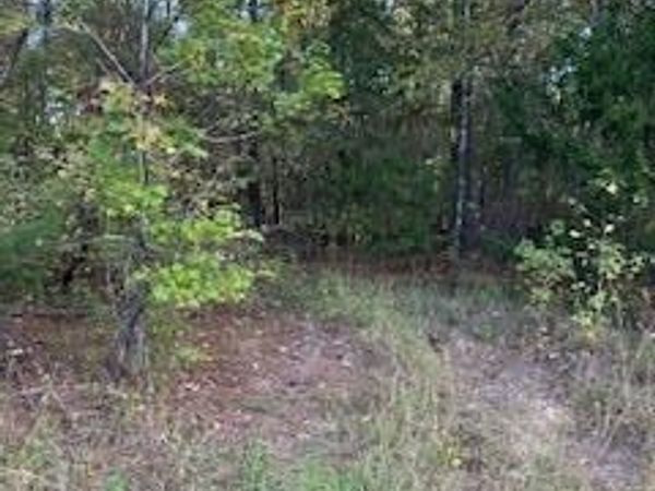 Tract 7 Cr 372, Oxford, MS 38655