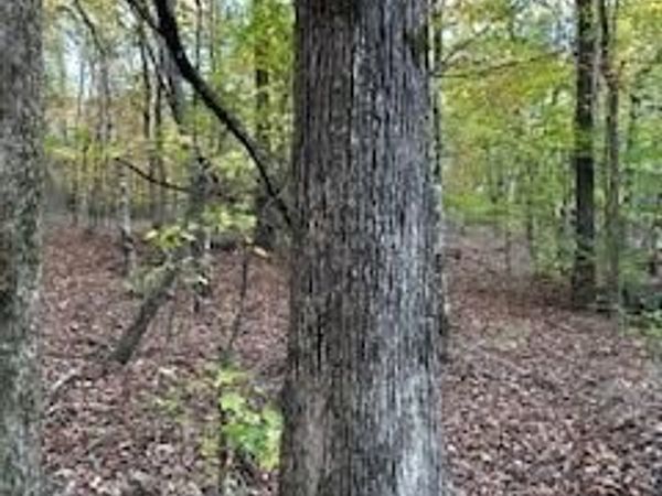 Tract 2 Hwy 9w,Cr 369,, Oxford, MS 38655