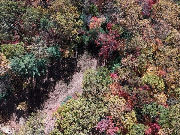 1205 Mays Ridge Road, Butler, TN 37640