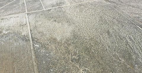 0 Rebel Cause Road, Reno, NV 89510 Photo