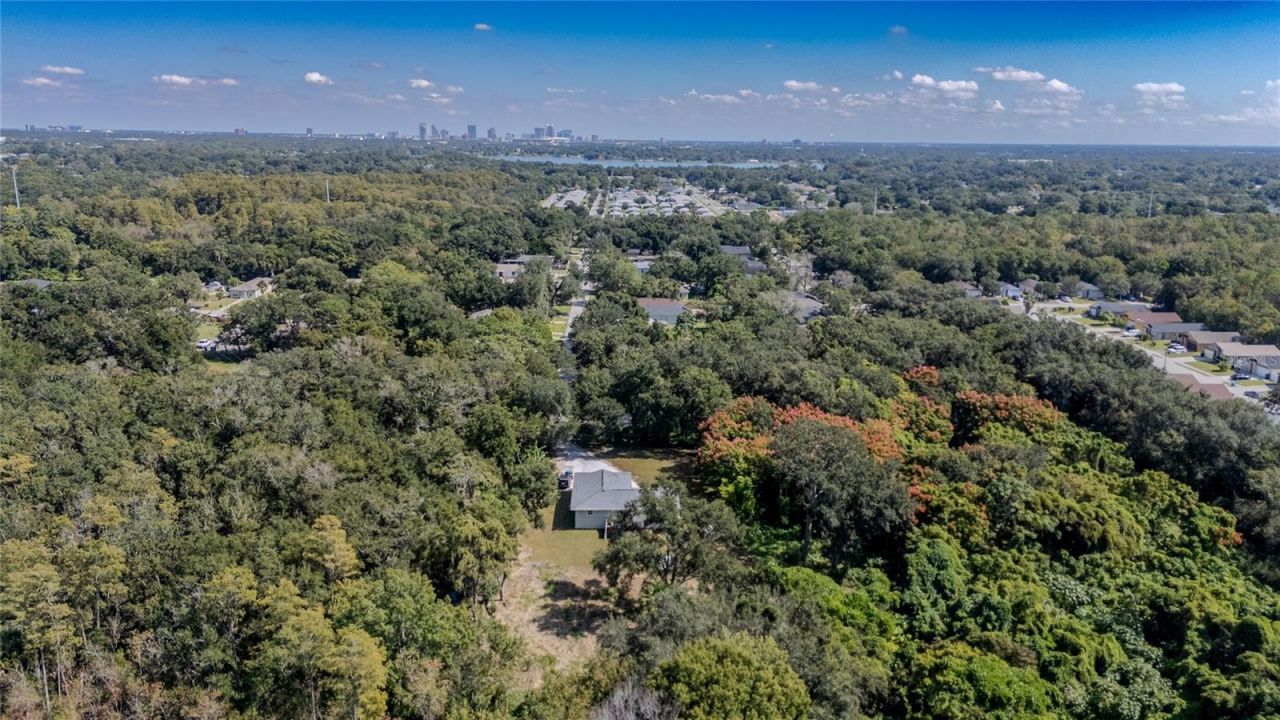 5044 College Drive, Orlando, FL 32811 Photo