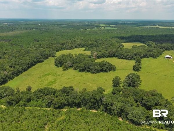 0 Circle R Farm Drive, Florala, AL 36442