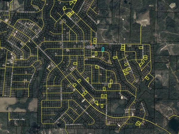 Lot 8 Cane Street, Marianna, FL 32448