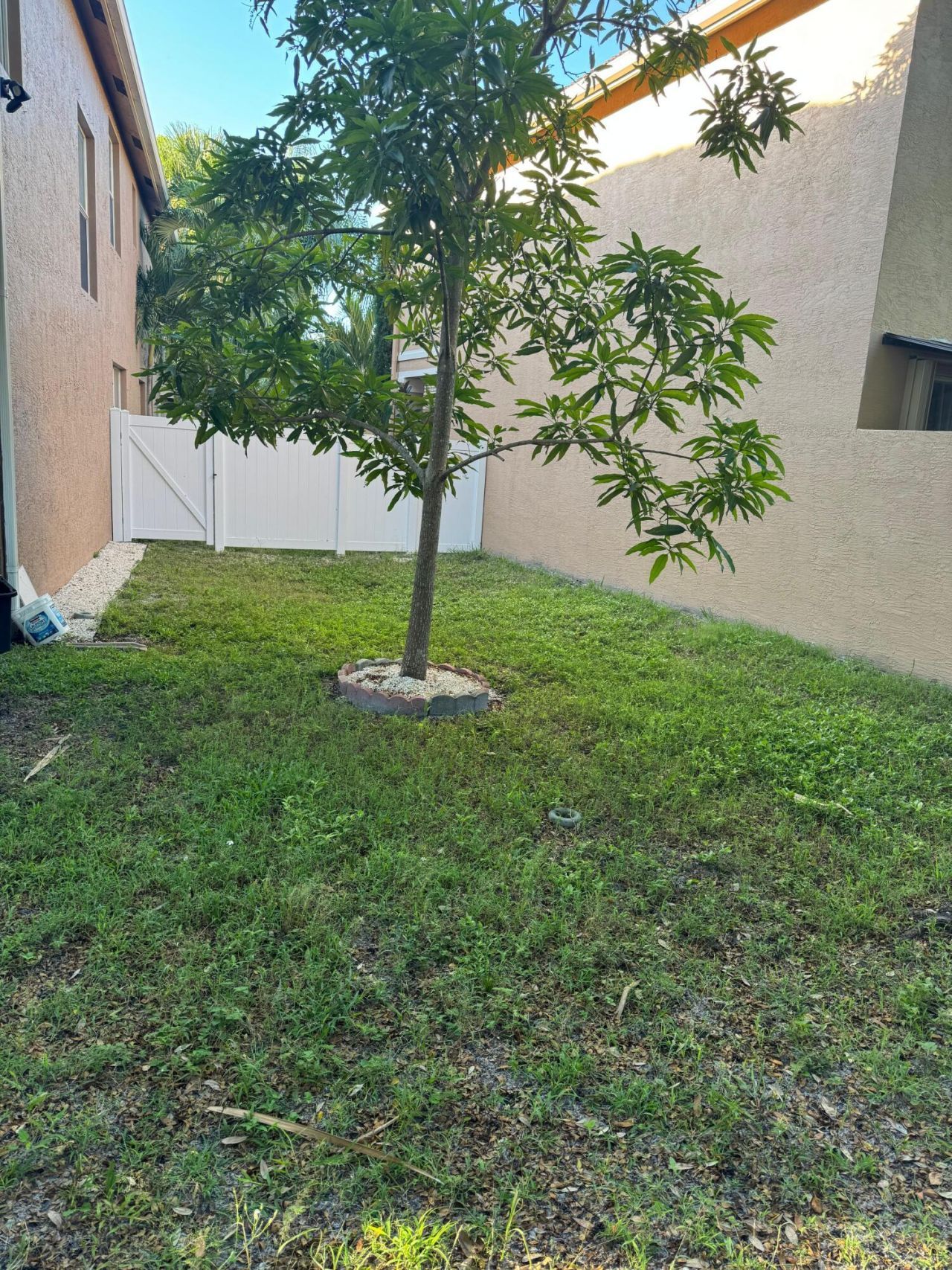 11487 Blue Violet Lane, Royal Palm Beach, FL 33411 Photo