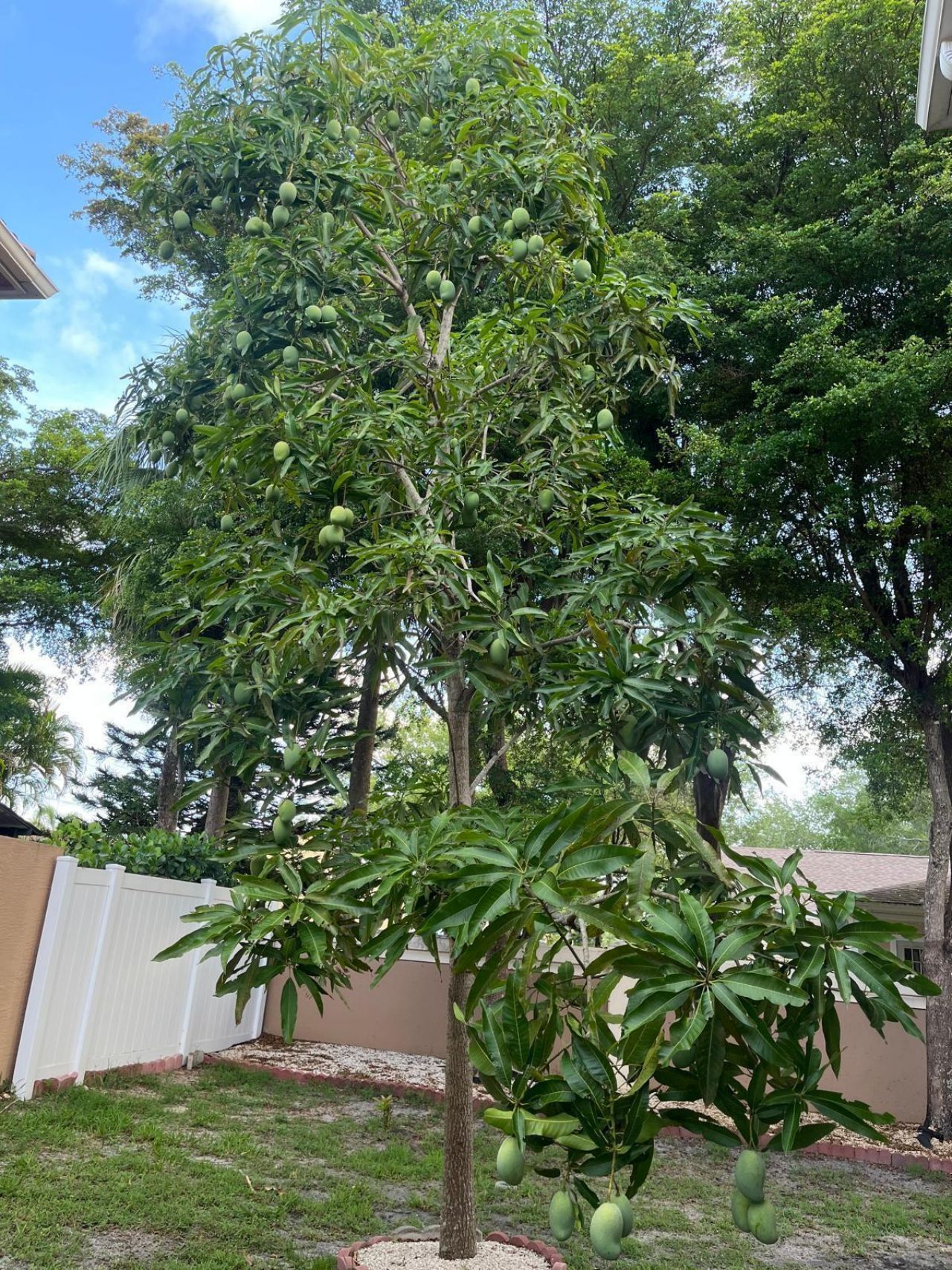 11487 Blue Violet Lane, Royal Palm Beach, FL 33411 Photo