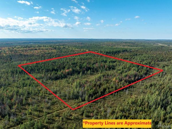 TBD 40A Old Plank Road, Au Train Twp, MI 49895