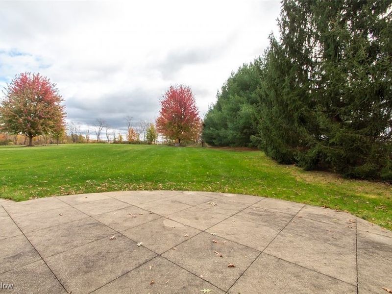 6349 Manor Glen Drive, Medina, OH 44256 Photo 42