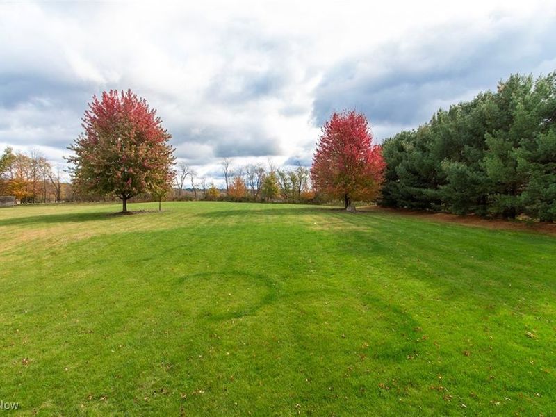 6349 Manor Glen Drive, Medina, OH 44256 Photo 48