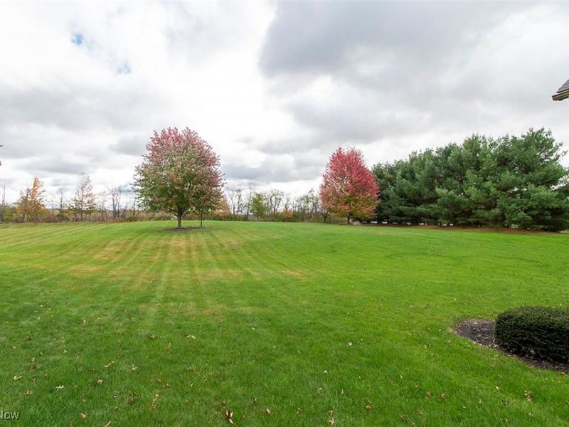 6349 Manor Glen Drive, Medina, OH 44256 Photo 49