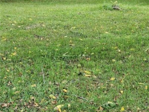 Clara Avenue, Akron, OH 44306