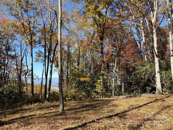 45 Trillium Garden Trail , Fletcher, NC 28732