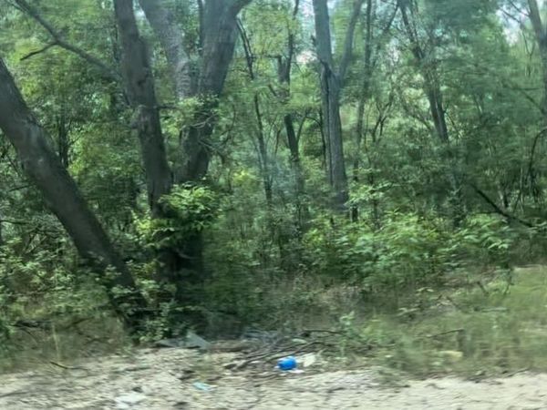 4205 Imperial DR, Austin, TX 78725