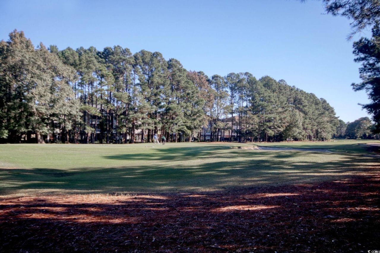 6015 Catalina Dr. Photo 30