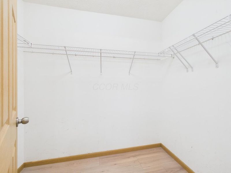 5566 Spring River Avenue, Dublin, OH 43016 Photo 19