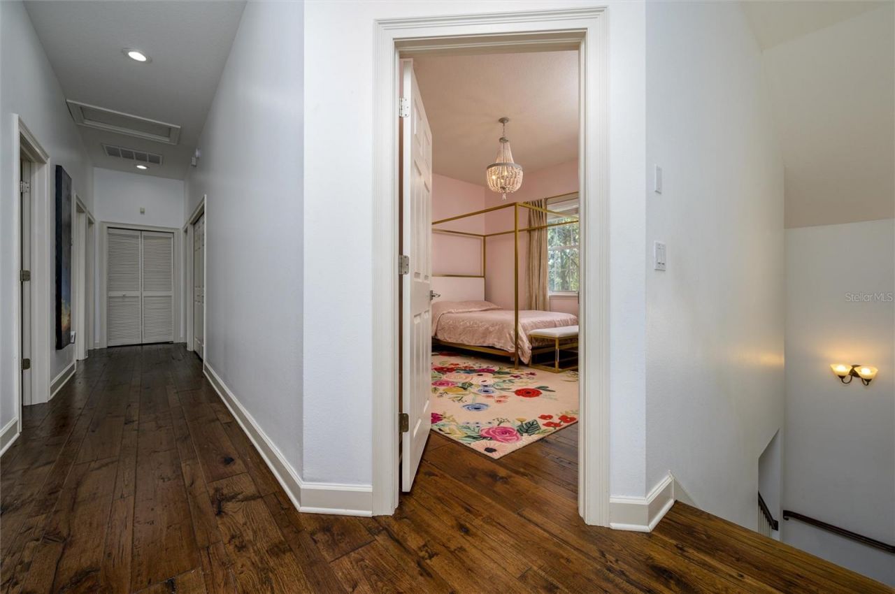 16328 Emerald Cove Drive, Lutz, FL 33549 Photo