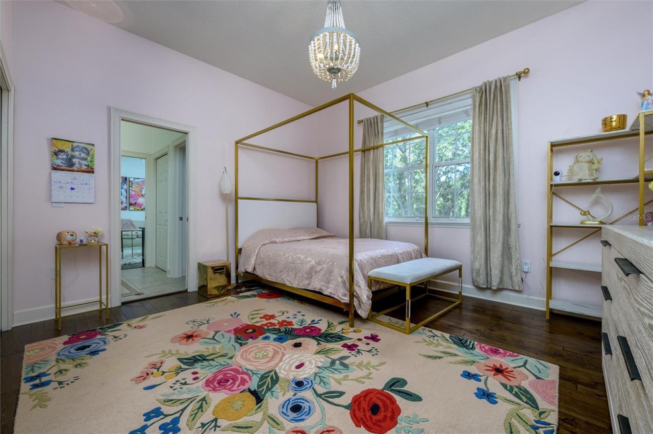 16328 Emerald Cove Drive, Lutz, FL 33549 Photo