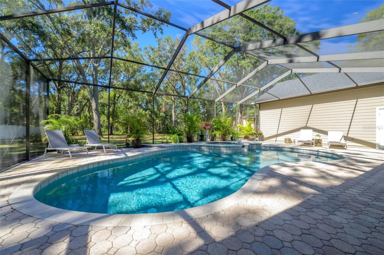 16328 Emerald Cove Drive, Lutz, FL 33549 Photo