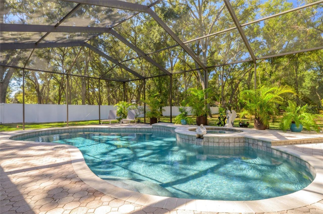 16328 Emerald Cove Drive, Lutz, FL 33549 Photo