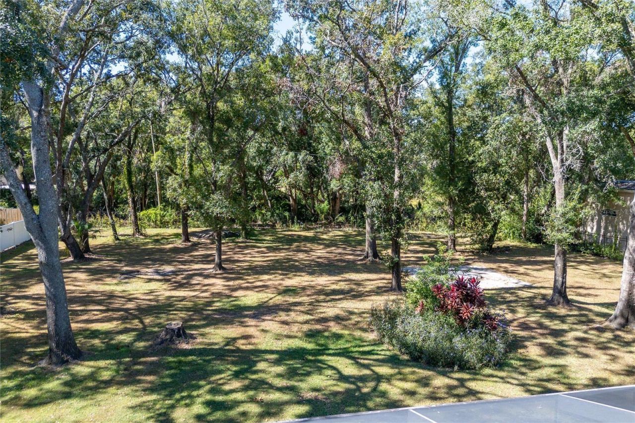 16328 Emerald Cove Drive, Lutz, FL 33549 Photo