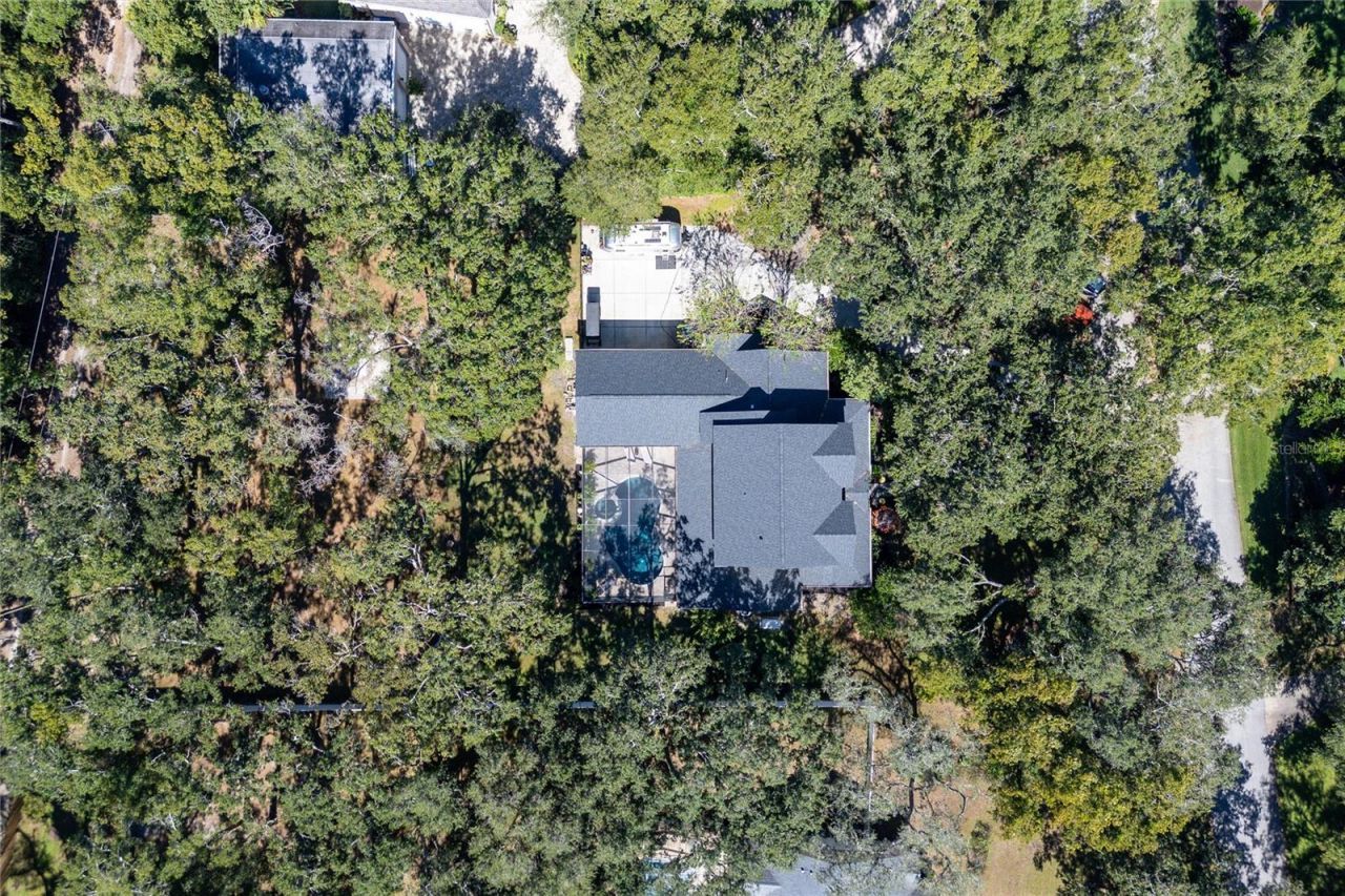 16328 Emerald Cove Drive, Lutz, FL 33549 Photo