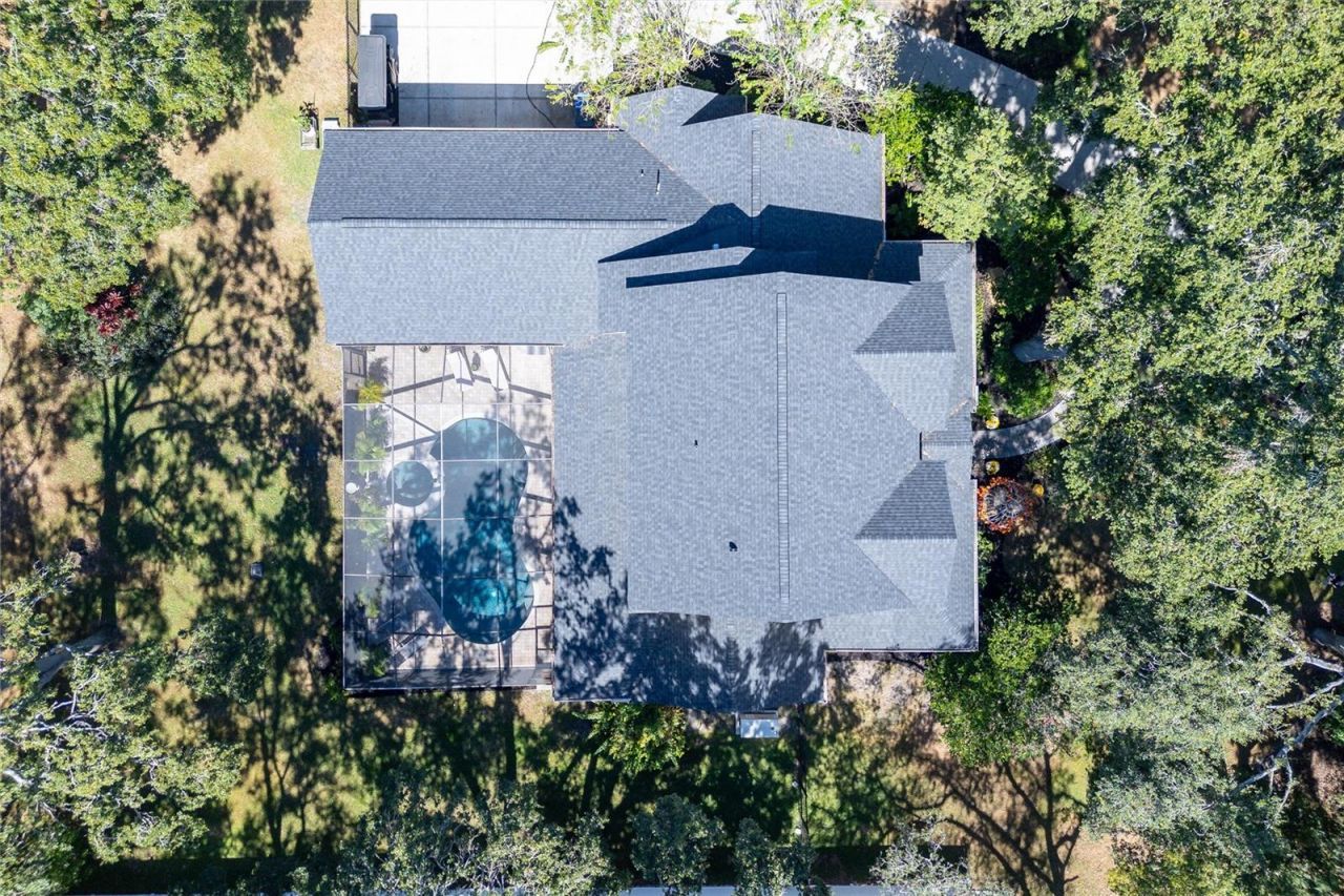 16328 Emerald Cove Drive, Lutz, FL 33549 Photo