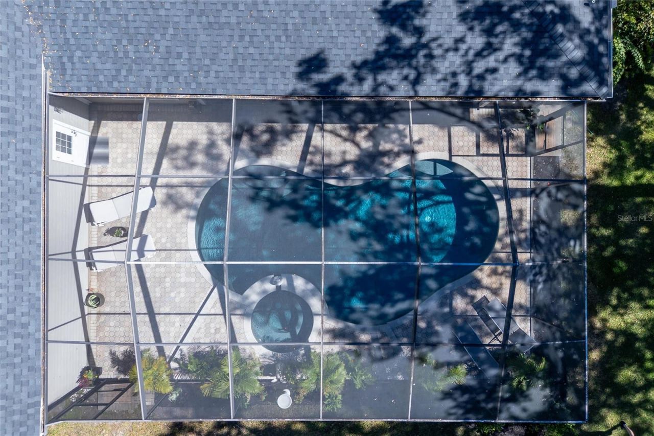 16328 Emerald Cove Drive, Lutz, FL 33549 Photo