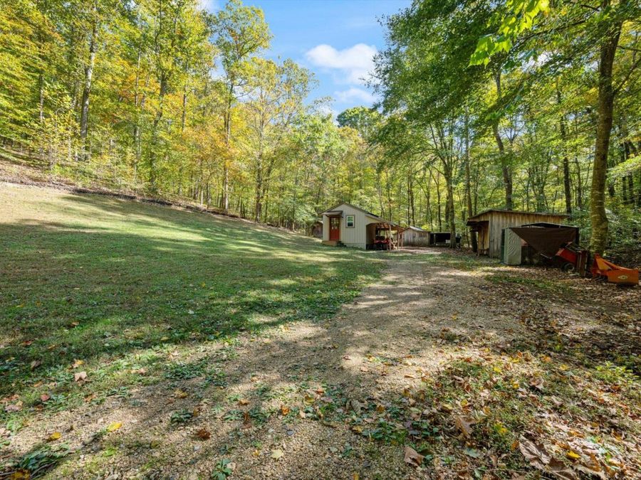 Property Image 16