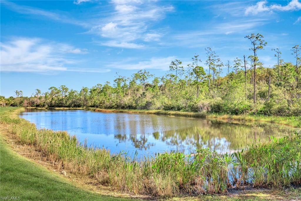 10150 Via Colomba Cir, Fort Myers, FL 33966 Photo