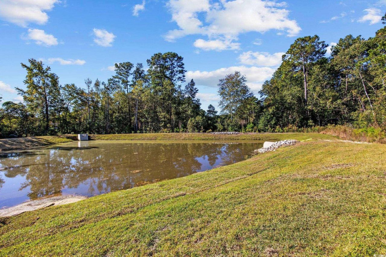 345 Bent Green Ct. Photo 36