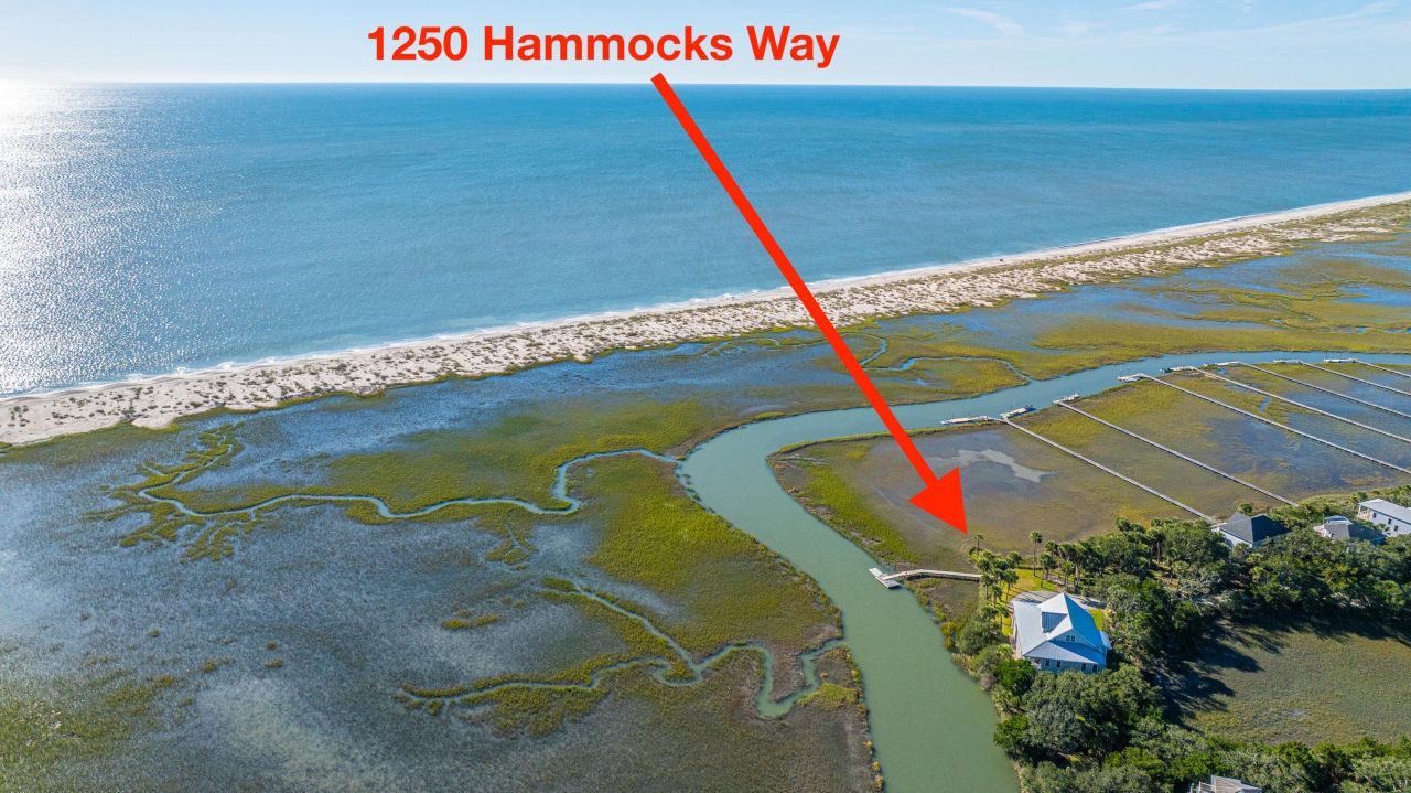 1250 Hammocks Way Photo 89