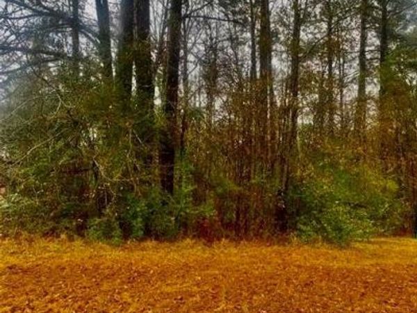 184 WILDWOOD Drive, Pineville, LA 71360