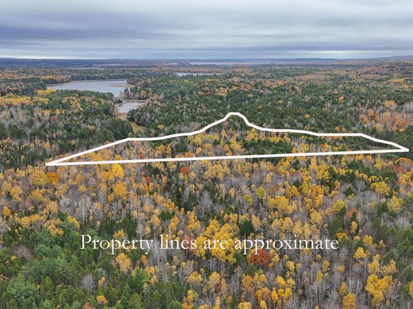 Lot 3-B West Branch Road, Mariaville, ME 04605