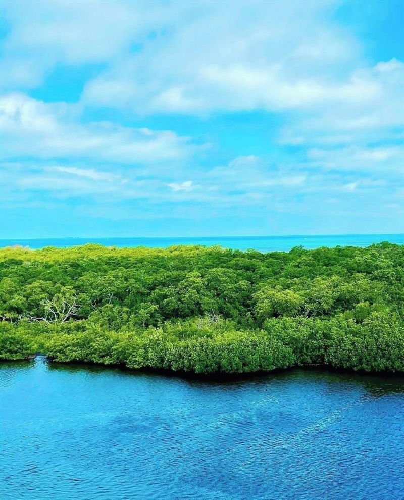 2408 89th Street Nw, Bradenton, FL 34209 Photo