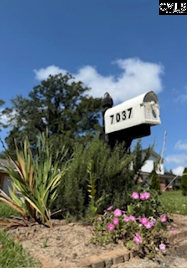 7037 Pisgah Drive Photo 19